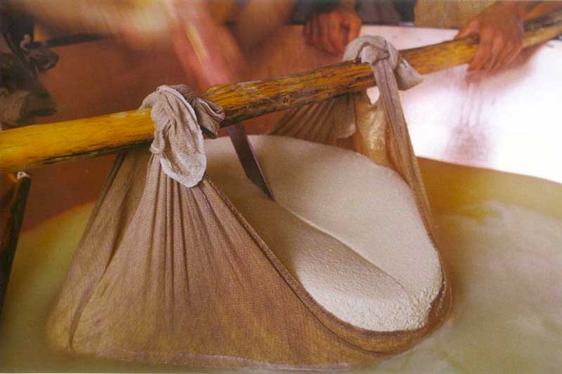 The making of Parmigiano reggiano cheese